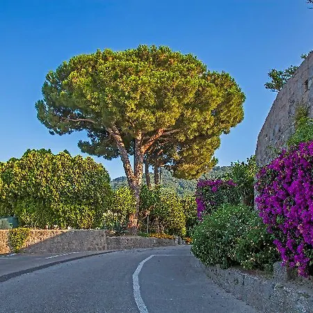 Hotel Elma Park Terme & Casamicciola Terme